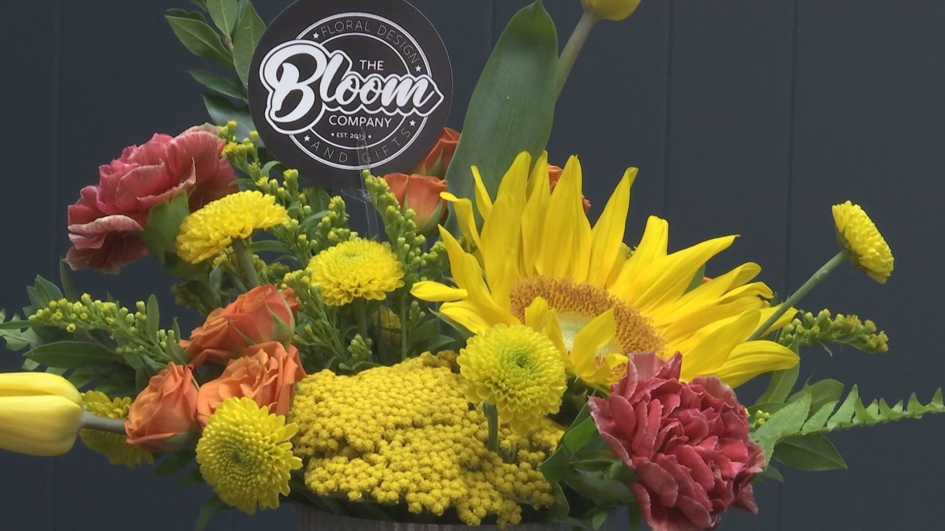 Bloom Company